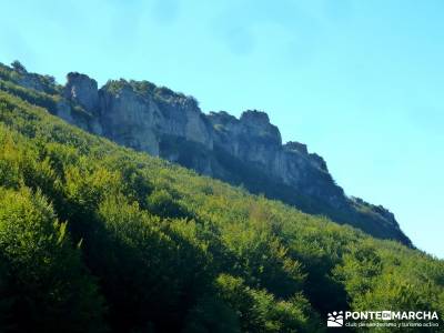 Hayedos Rioja Alavesa- Sierra Cantabria- Toloño;viajes programados por españa embalse madrid agenc